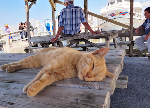 Cruise Agency «Tangier Island Cruises», reviews and photos, 1001 W Main St, Crisfield, MD 21817, USA