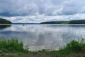 Ščiūrio Ragas Nature Walk image