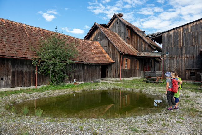 Rezensionen über Schollenmühle in Altstätten - Museum