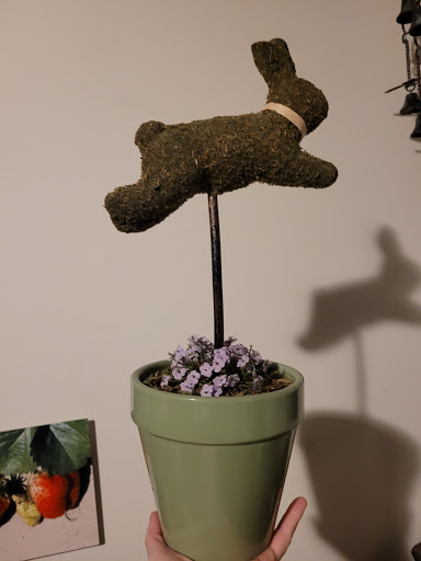 Thrift Store «Goodwill - Rock Hill», reviews and photos