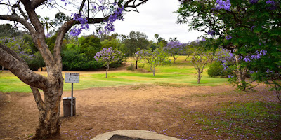 Morley Field Disc Golf Course