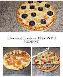 Photos du propriétaire du Pizzeria Pat'Pizza à Saint-Paul-des-Landes - n°7