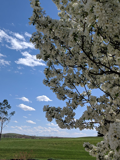 Public Golf Course «Murphy Creek Golf Course», reviews and photos, 1700 S Old Tom Morris Rd, Aurora, CO 80018, USA