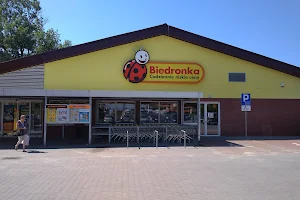 Biedronka image