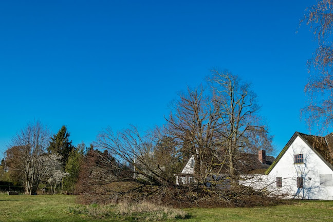 Dalbyvej 17, 4281 Gørlev, Danmark