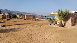 Friends Camp beach'in fotoğrafı çok temiz temizlik seviyesi ile