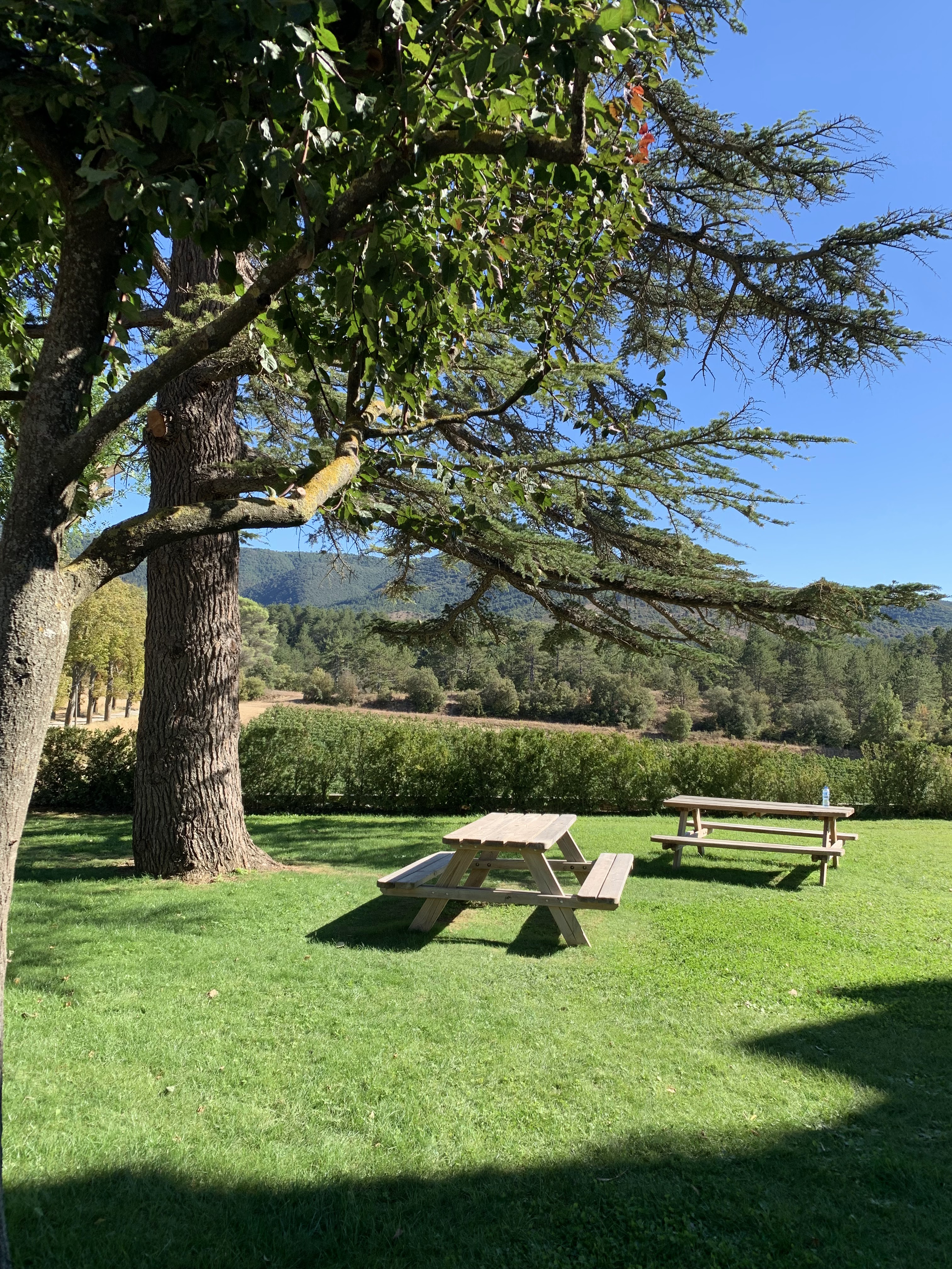 Photo n° 13 de l'avis de Anna.a fait le 20/08/2022 à 18:11