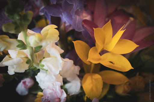 Florist «Russ Gaffney Florist», reviews and photos, 160 S Pine St, Spartanburg, SC 29302, USA