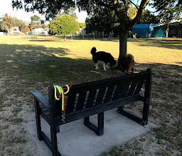 Sunnyside Park photo