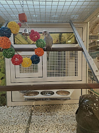 PetSmart - Photo 4 - Car repair in Palm Desert, CA, Indio