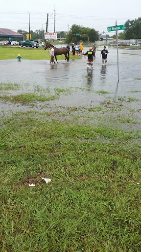 Gym «Power House Gym», reviews and photos, 1502 Ahrens St, Houston, TX 77017, USA