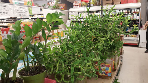 Asian Grocery Store «Thai An Oriental Market», reviews and photos, 2425 S Hillside St # 500, Wichita, KS 67216, USA