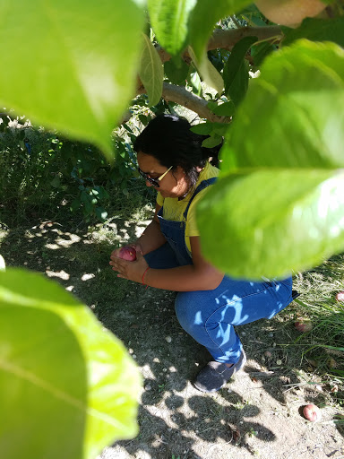 Farm «Giamarese Farm & Orchards», reviews and photos, 155 Fresh Ponds Rd, East Brunswick, NJ 08816, USA