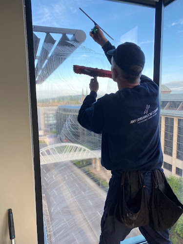 Reviews of Any Level Window Cleaning in Edinburgh - House cleaning service