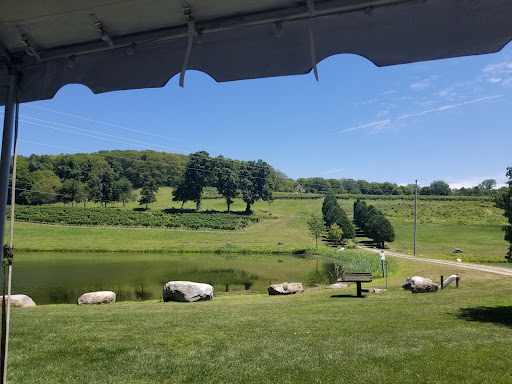 Winery «Millbrook Vineyards & Winery», reviews and photos, 26 Wing Rd, Millbrook, NY 12545, USA