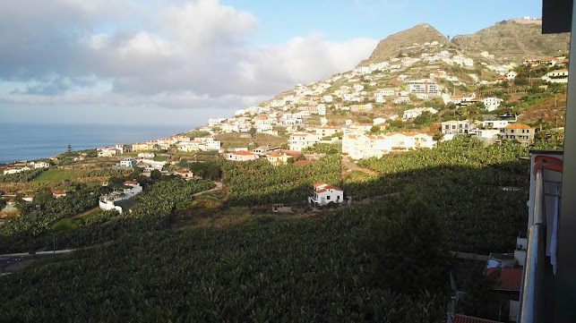 Avaliações doElenco Perfeito, Lda. em Câmara de Lobos - Escola