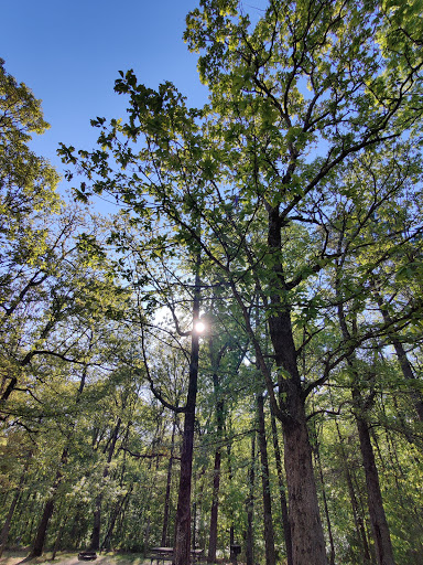 State Park «Natchez Trace State Park», reviews and photos, 24845 Natchez Trace Rd, Wildersville, TN 38388, USA