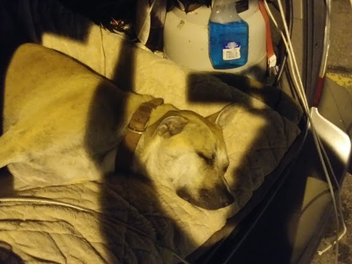 Shopping Mall «Airport Mall», reviews and photos, 1129 Union St, Bangor, ME 04401, USA