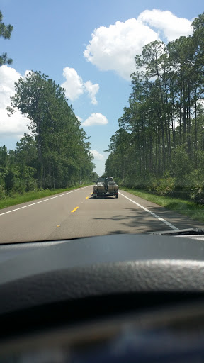 National Forest «Ocala National Forest», reviews and photos, 40929 FL-19, Umatilla, FL 32784, USA