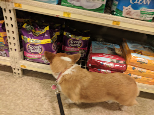 Pet Supply Store «PetSmart», reviews and photos, 1450 Spring Meadows Dr, Holland, OH 43528, USA
