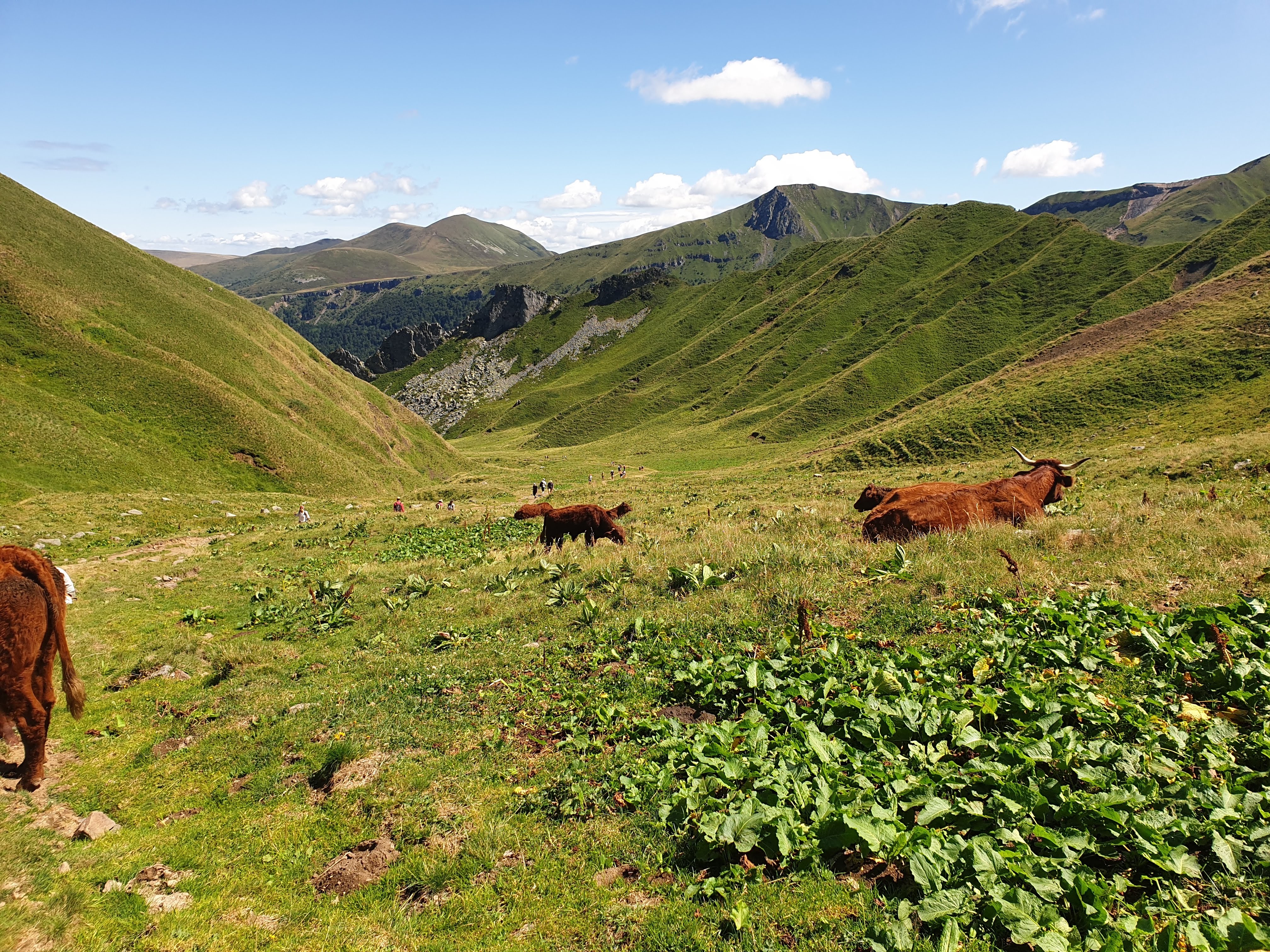 Photo n° 20 de l'avis de Romain.I fait le 10/08/2019 à 07:51