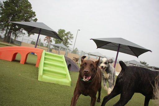 Pet Boarding Service «Creature Comforts», reviews and photos, 1600 W Cotton St, Longview, TX 75604, USA