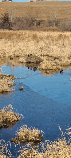 Park «Valley View Park», reviews and photos, 5575 Ozark Avenue North, Oak Park Heights, MN 55082, USA