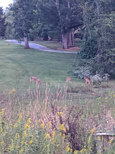 Golf Course «Lake of the Woods Golf Course», reviews and photos, 405 N Lake of the Woods Rd, Mahomet, IL 61853, USA
