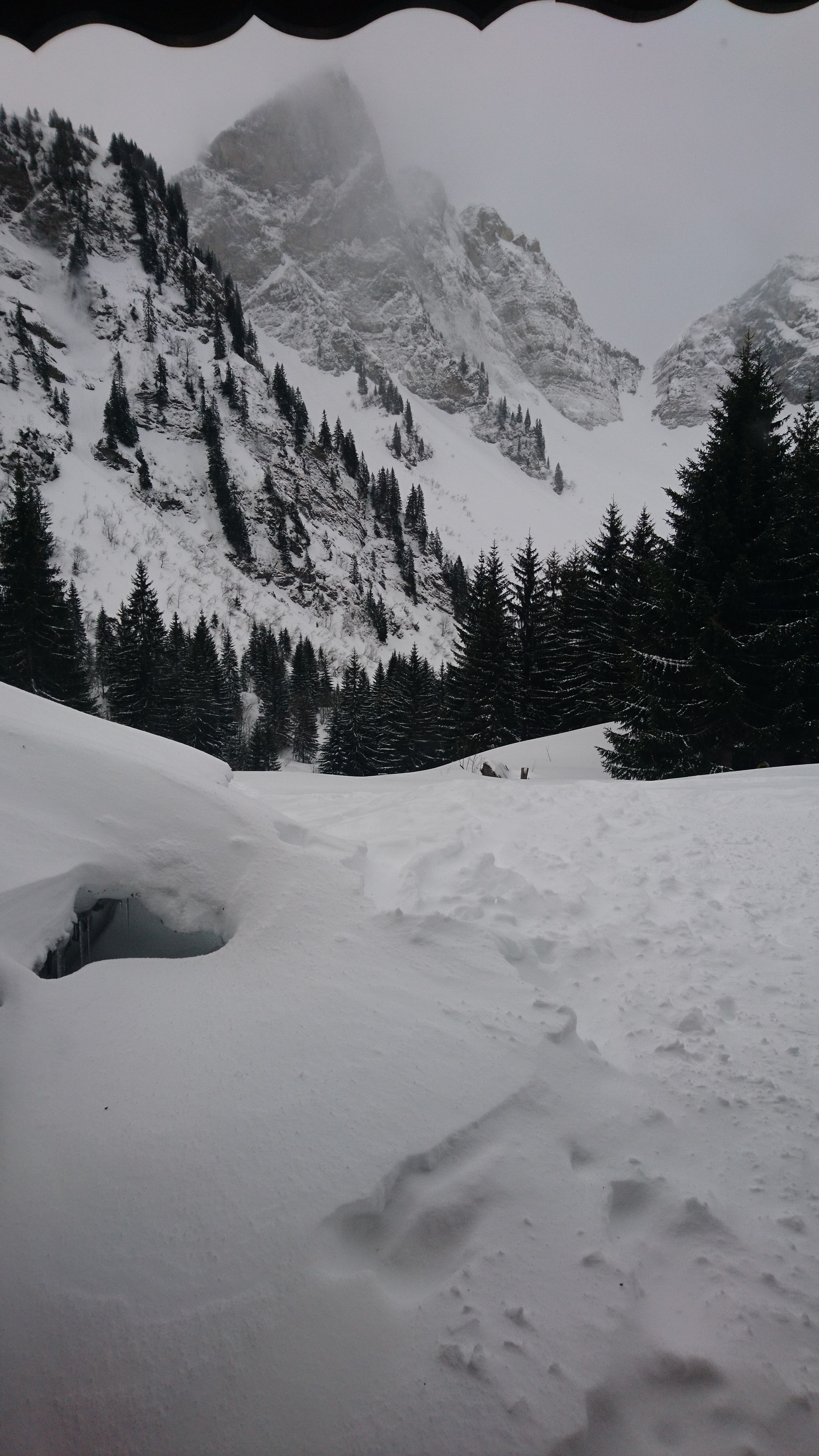 Photo n° 1 de l'avis de Camélia.i fait le 27/02/2020 à 11:03
