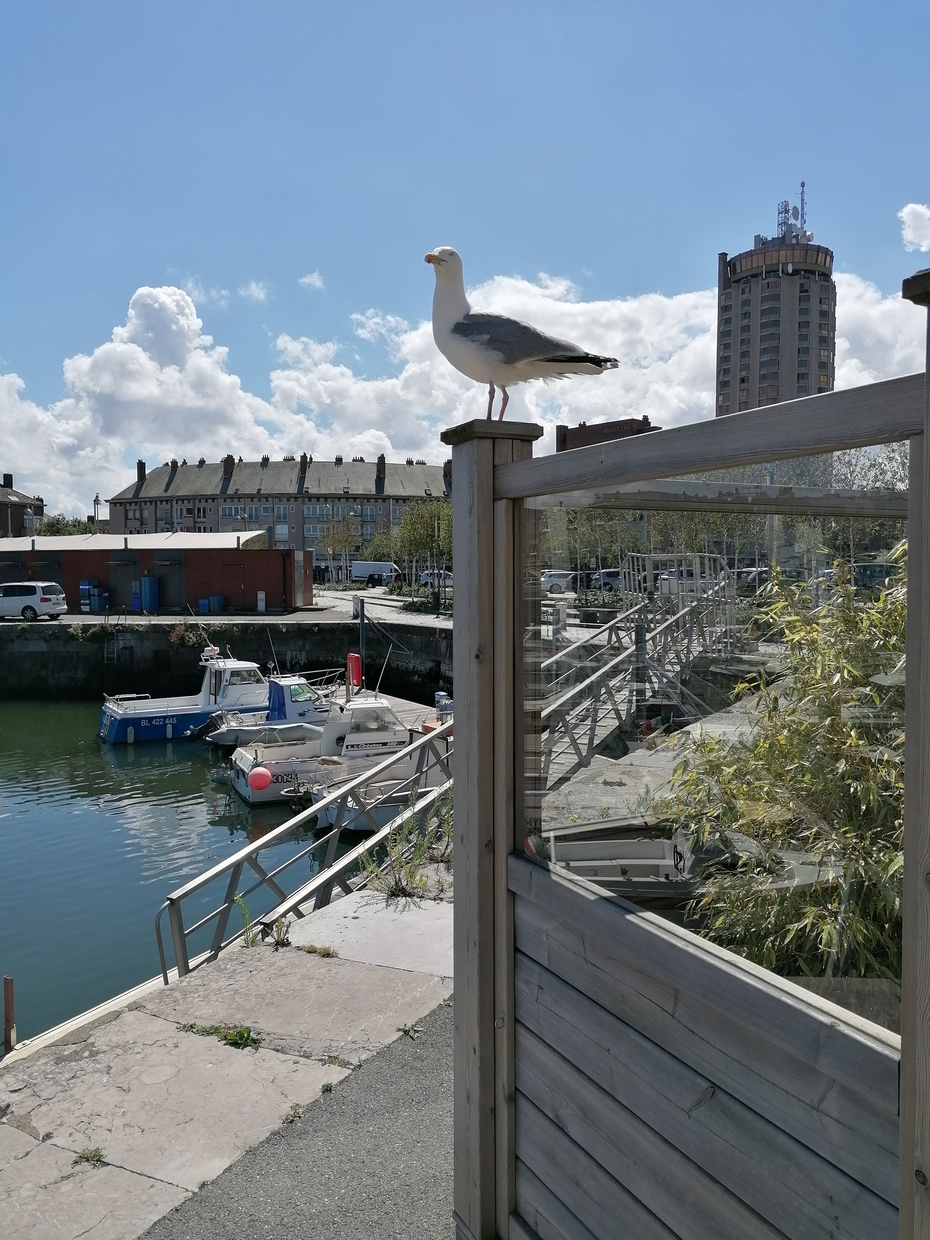 Photo n° 2 de l'avis de Anne.a fait le 22/07/2020 à 19:23
