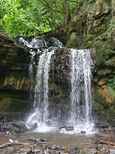 Longford Waterfall | Cwm Duffryn Woods