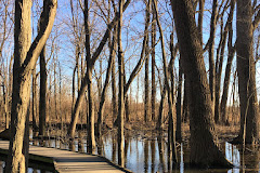 Ritchey Woods Nature Preserve