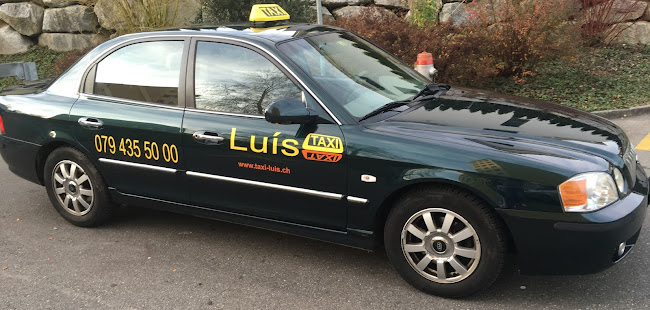 Kommentare und Rezensionen über Taxi Luis der Stern am Sempachersee