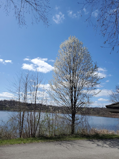 Massage Therapist «Callatis Spa», reviews and photos, 2695 N Haven Blvd Suite 2, Cuyahoga Falls, OH 44223, USA