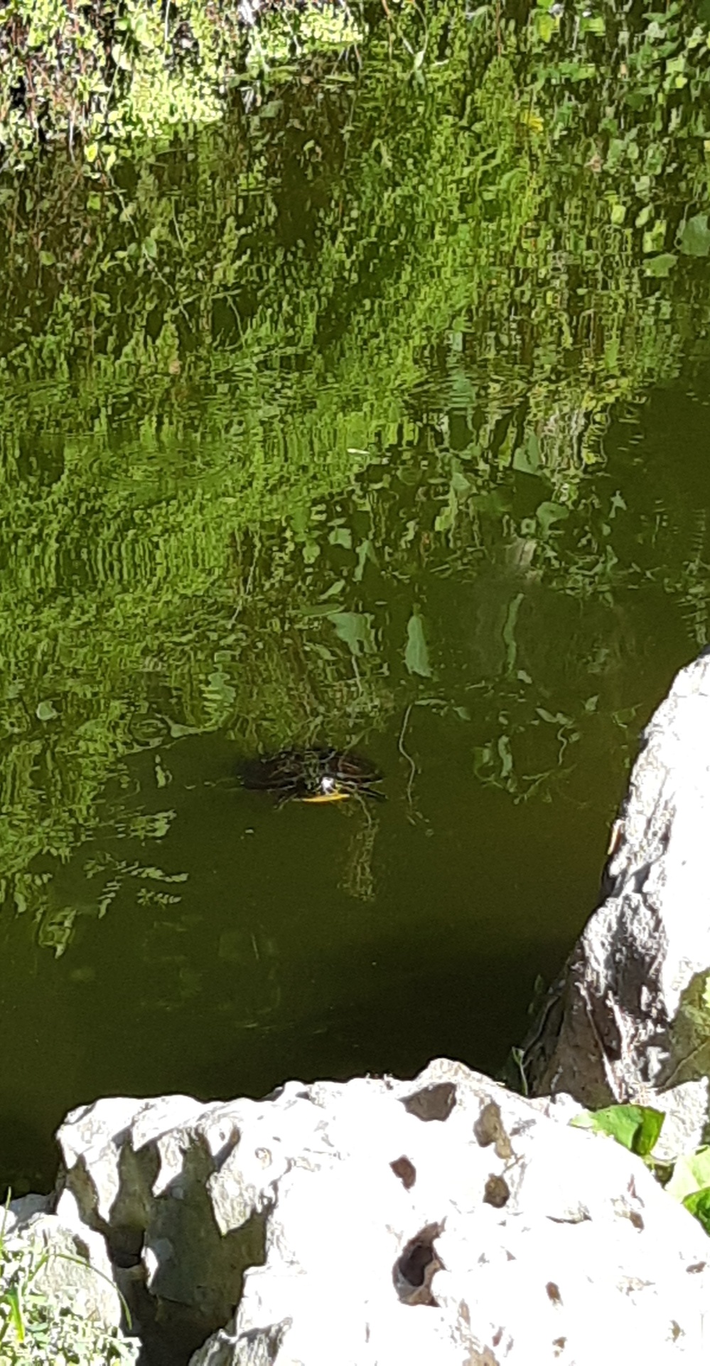 Photo n° 2 de l'avis de Guillaume.E fait le 03/06/2019 à 15:49