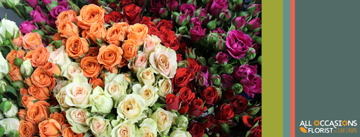 All Occasions Florist, 3428 Oak Lawn Ave, Dallas, TX 75219, USA, 