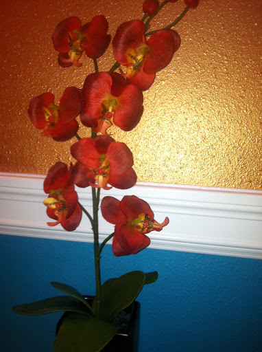 Tattoo Shop «Sacred Soul Tattoo», reviews and photos, 141 Park Ave N, Renton, WA 98057, USA