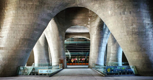 Himalayas Center