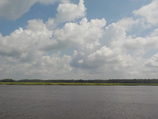 Nature Preserve «Maurice River Bluffs Preserve», reviews and photos, Silver Run Rd, Millville, NJ 08332, USA