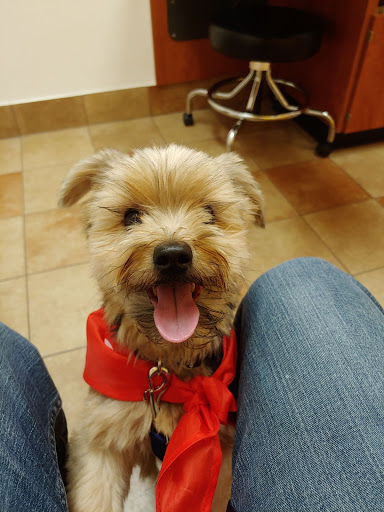 Pet Supply Store «PetSmart», reviews and photos, 1759 Apalachee Pkwy, Tallahassee, FL 32301, USA