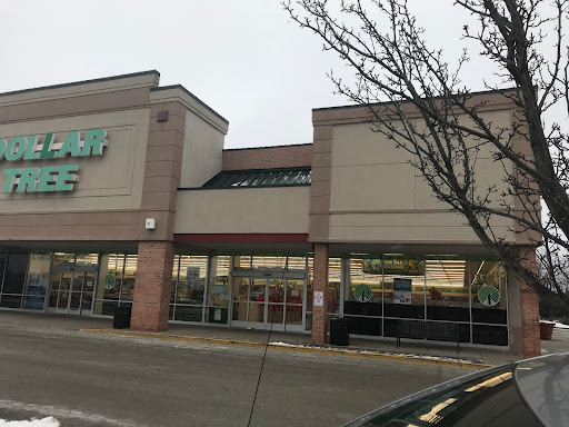 Dollar Store «Dollar Tree», reviews and photos, 16199 Harlem Ave, Tinley Park, IL 60477, USA