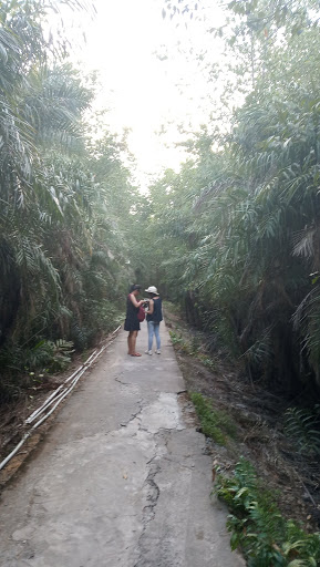 Top 20 cửa hàng play Huyện Cần Giờ Hồ Chí Minh 2022