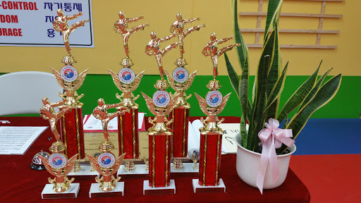 Sky Martial Arts Simi Valley - Masters United image