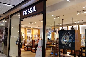 Fossil TP image