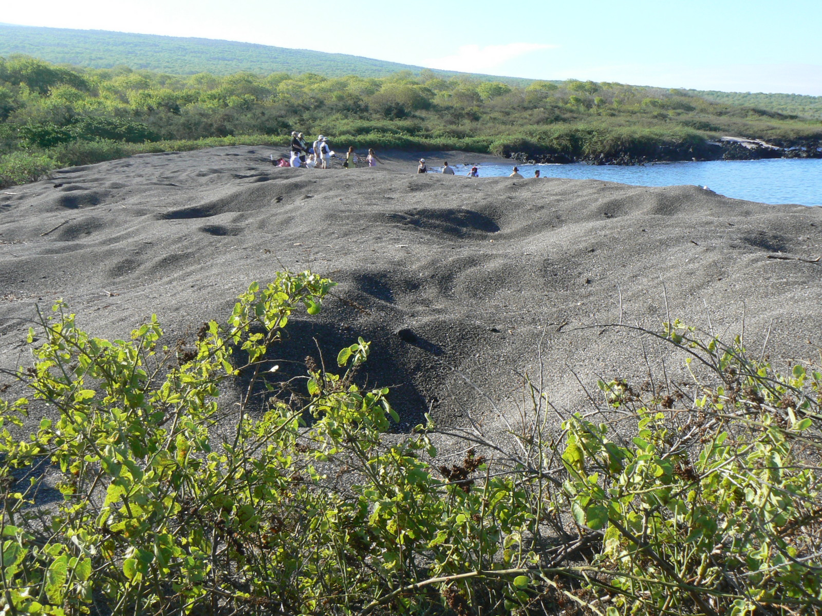 Urbina Bay的照片 带有白色沙和岩石表面