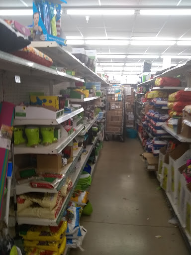 Discount Store «Dollar General», reviews and photos, 5753 Wayne Ave, Philadelphia, PA 19144, USA