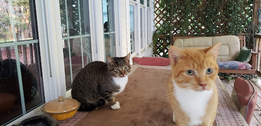 Pet Supply Store «Petsense London», reviews and photos, 1661 KY-192, London, KY 40741, USA