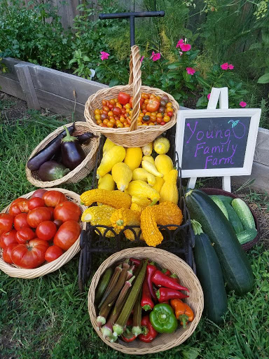 Young Family Farm