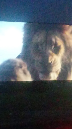 Drive-in Movie Theater «Rustic Drive in Theatre», reviews and photos, Louisquisset Pike, North Smithfield, RI 02896, USA