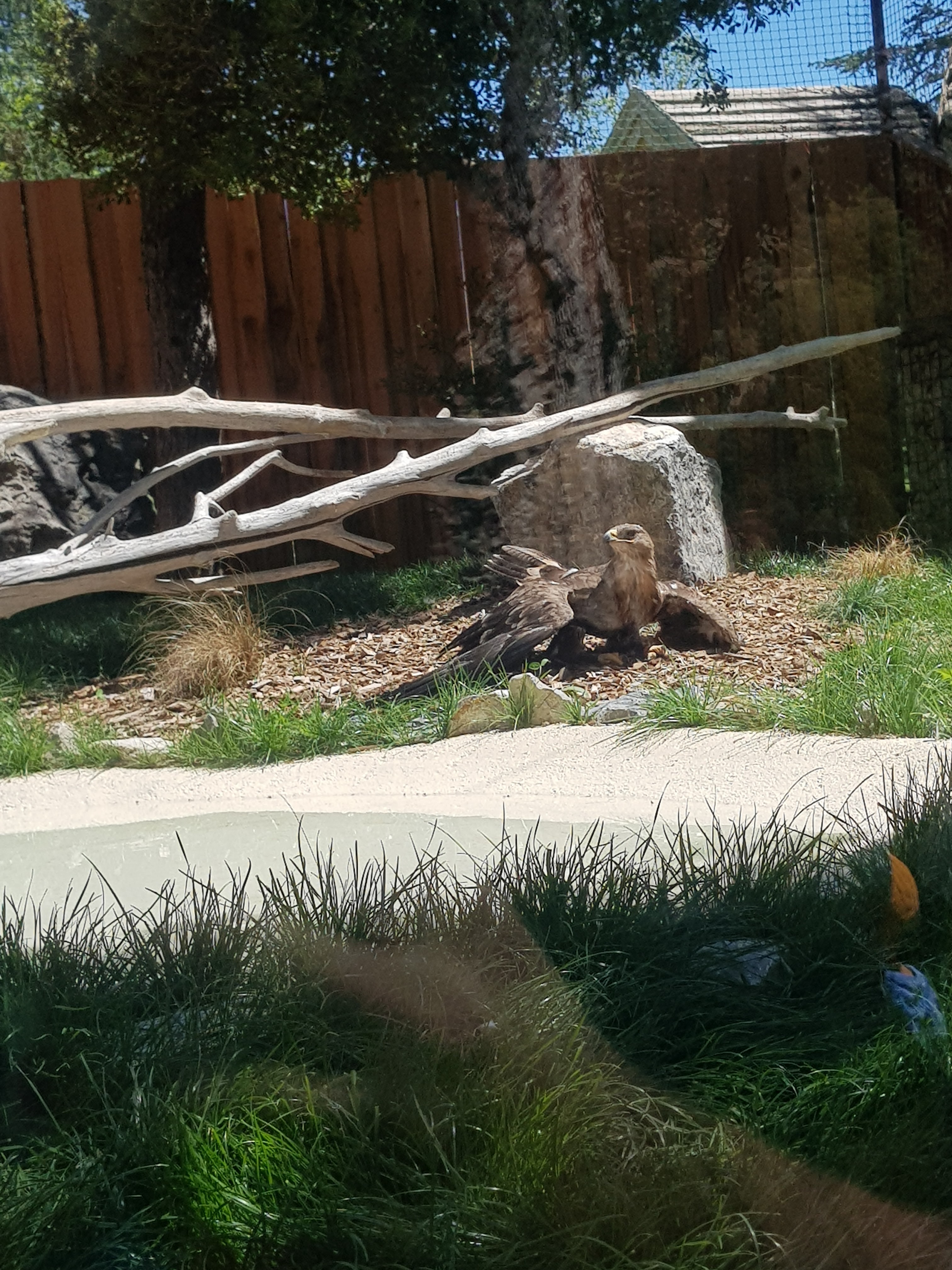 Photo n° 7 de l'avis de ROMAIN.A fait le 14/07/2022 à 16:35